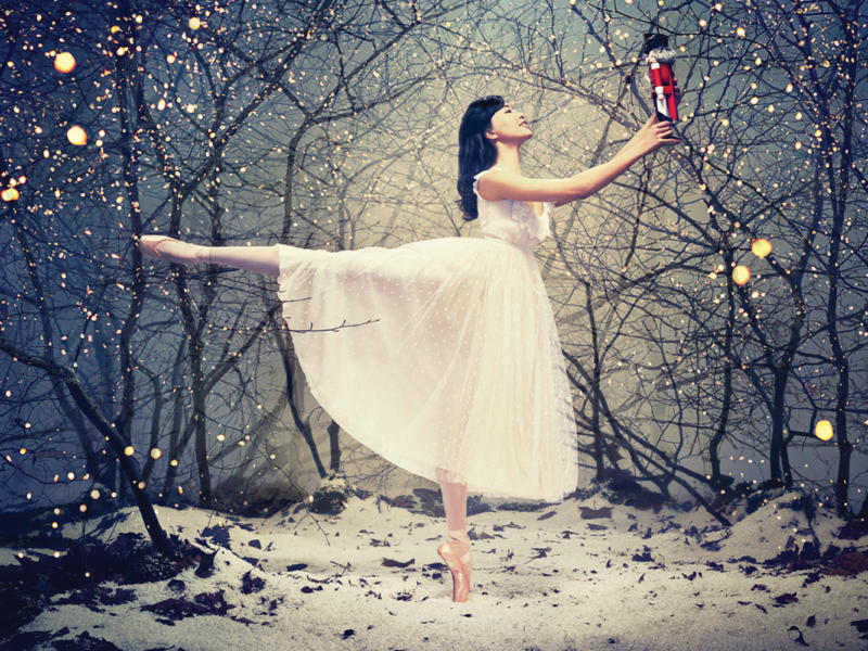 Nutcracker Nutcracker